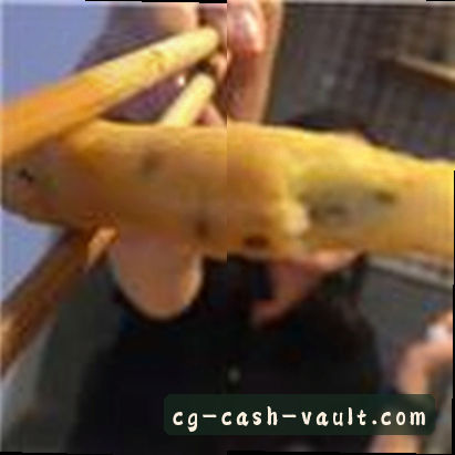 赵磊